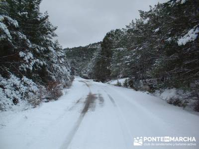 La Fuentona - Sierra de Cabrejas;viajes de senderismo; agencias senderismo madrid 